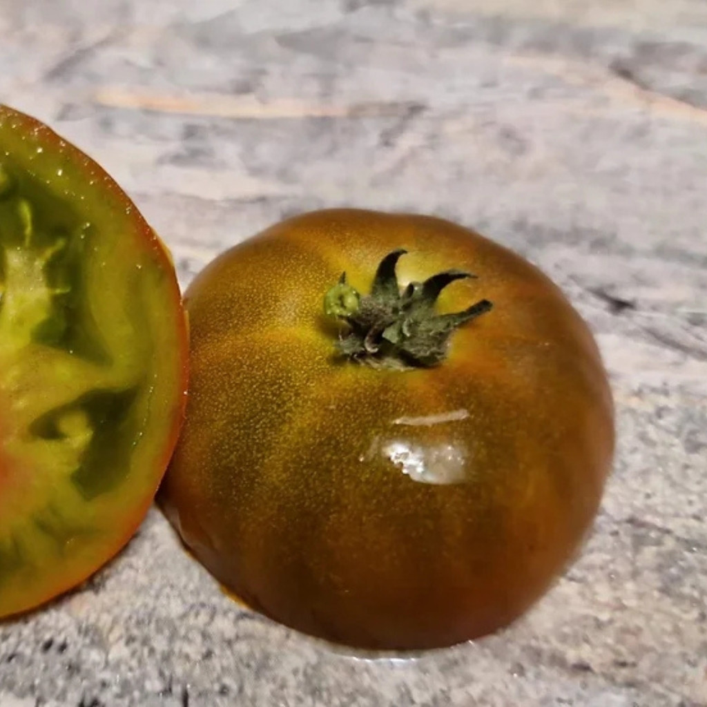 Tomato seeds gnome pit viper - 10