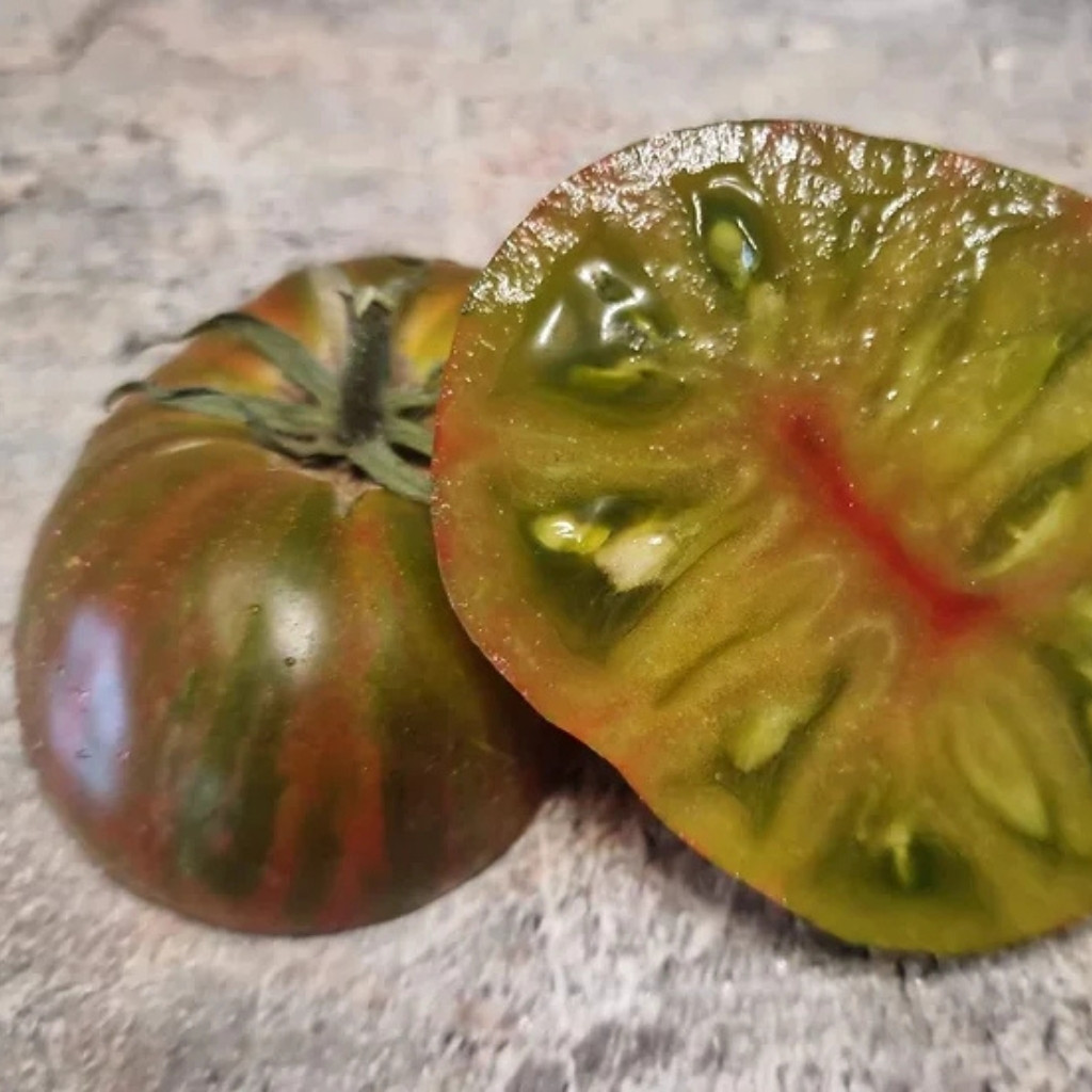 Tomato seeds gnome pit viper - 10