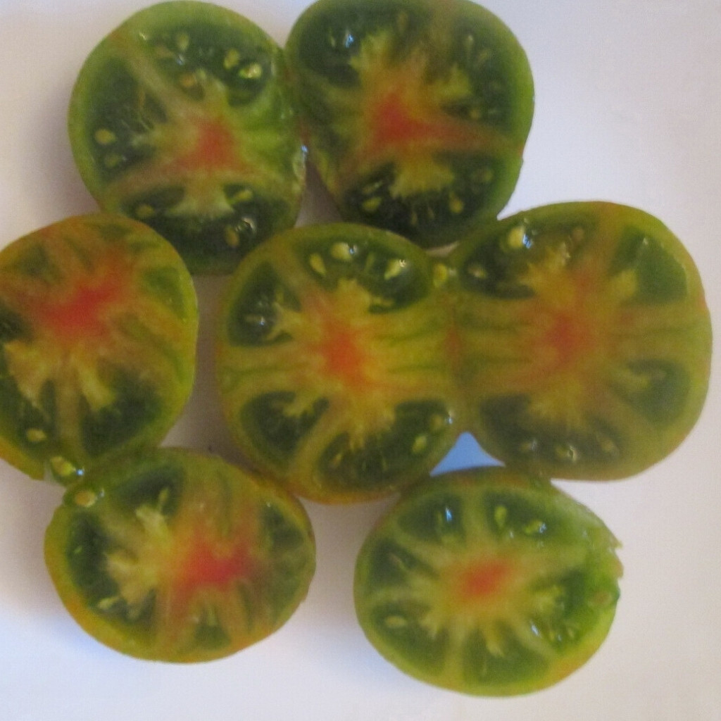 Tomato seeds gnome pit viper - 10