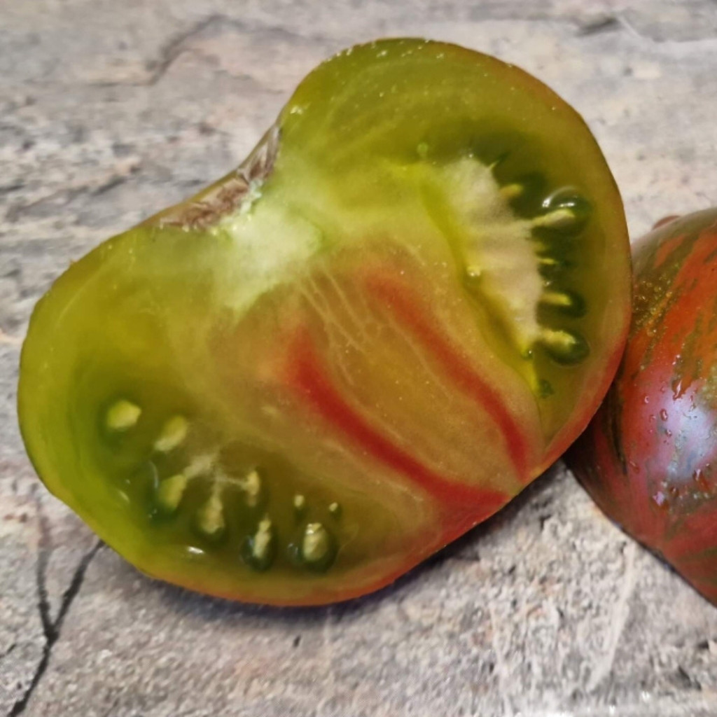 Tomato seeds gnome pit viper - 10