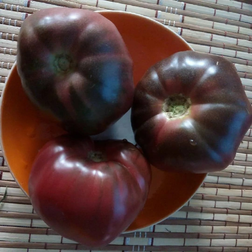 Tomato seeds mulatto - 10
