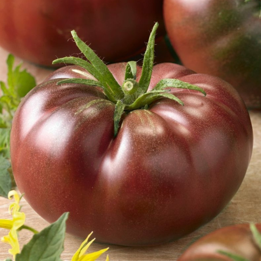 Tomato seeds mulatto - 10