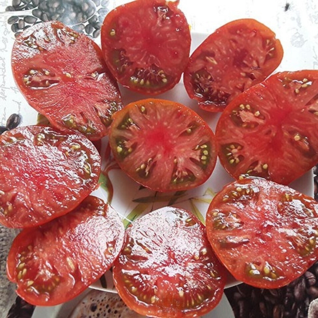 Tomato seeds mulatto - 10
