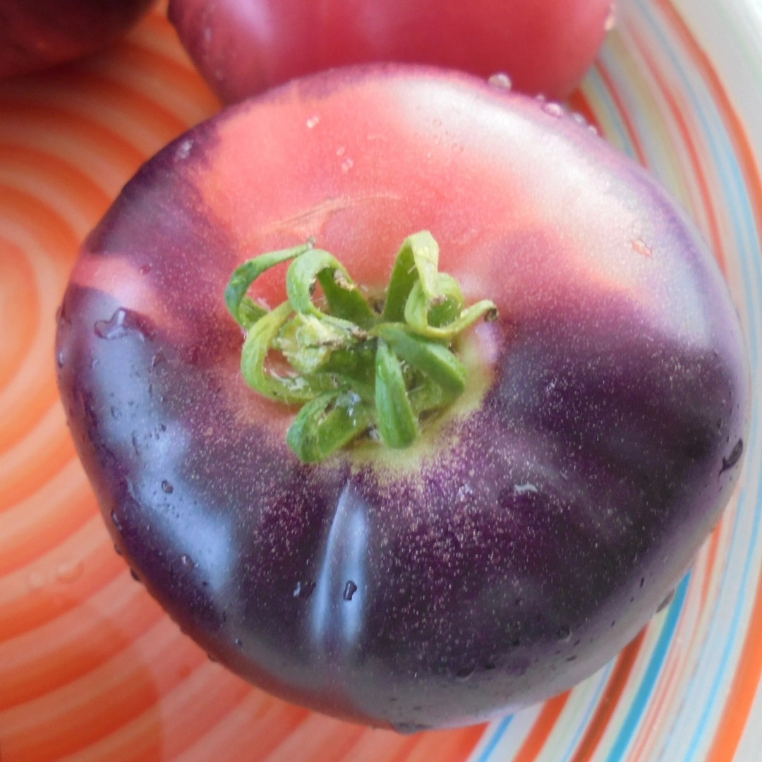 Tomato Seeds Amethyst Jewel - 10