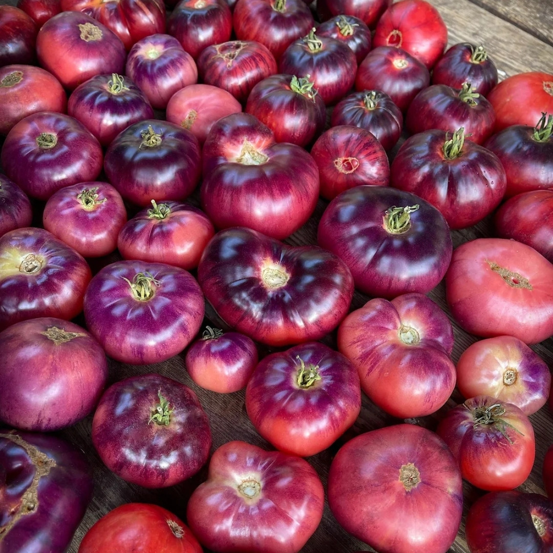 Tomato Seeds Amethyst Jewel - 10