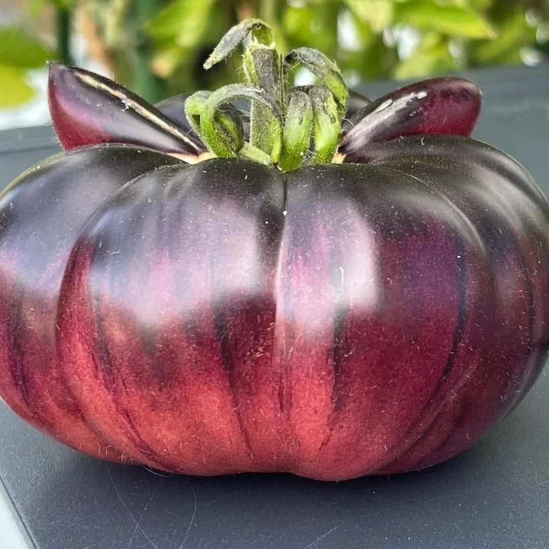 Tomato Seeds Amethyst Jewel - 10