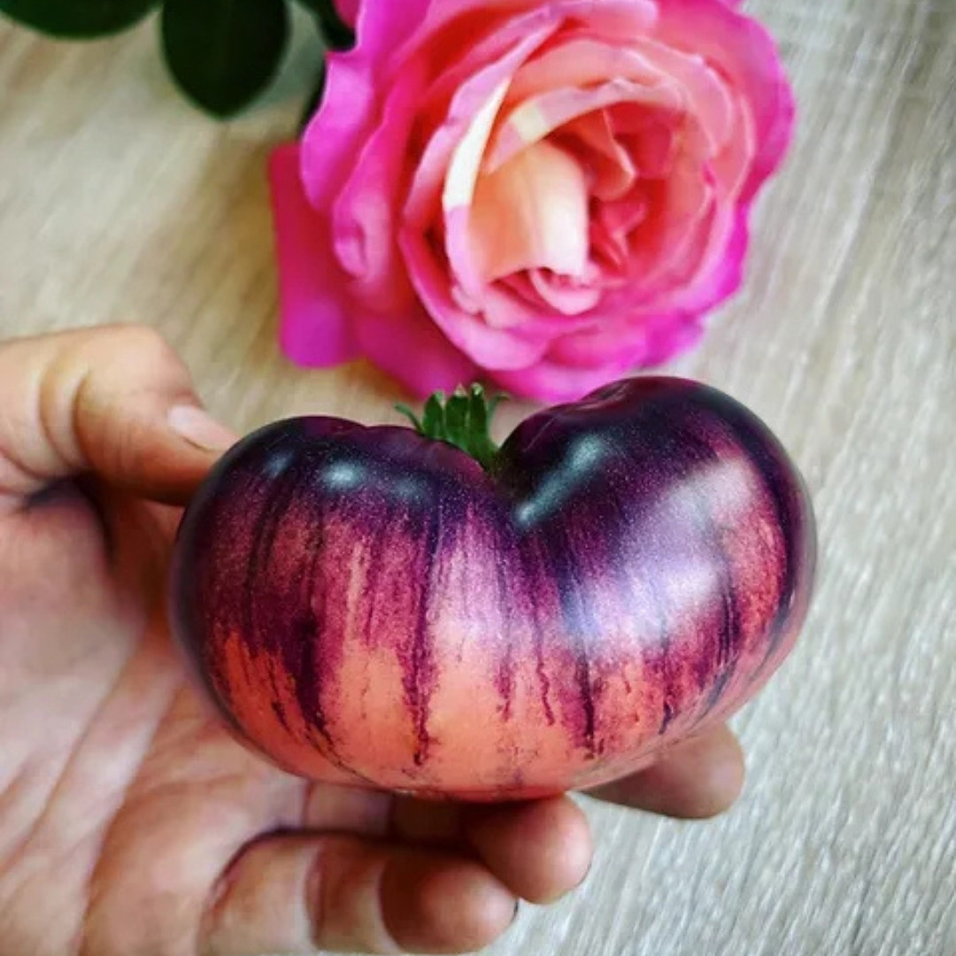 Tomato Seeds Amethyst Jewel - 10