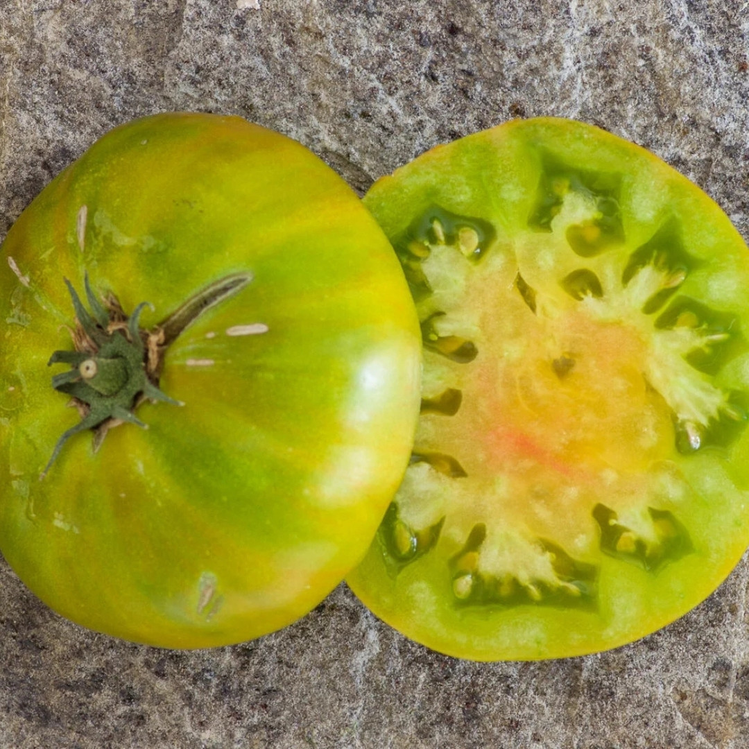 Tomato Seeds Jarson 7 - 10