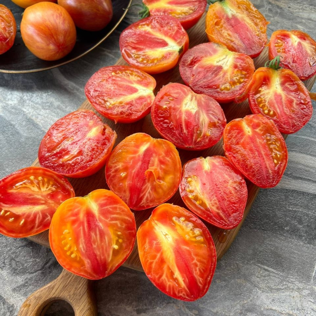 Tomato Seeds Kozula 141 - 10