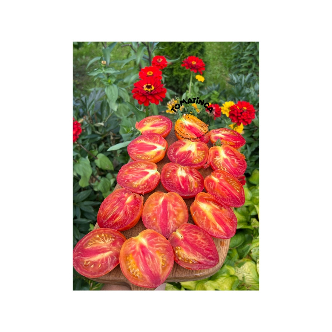 Tomato Seeds Kozula 141 - 10