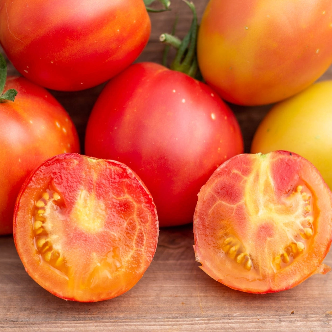 Tomato Seeds Kozula 141 - 10