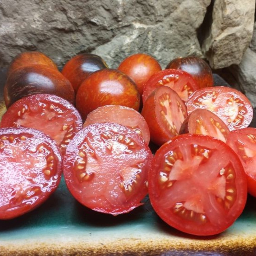 Tomato Seeds Damascus Steel Dwarf - 10