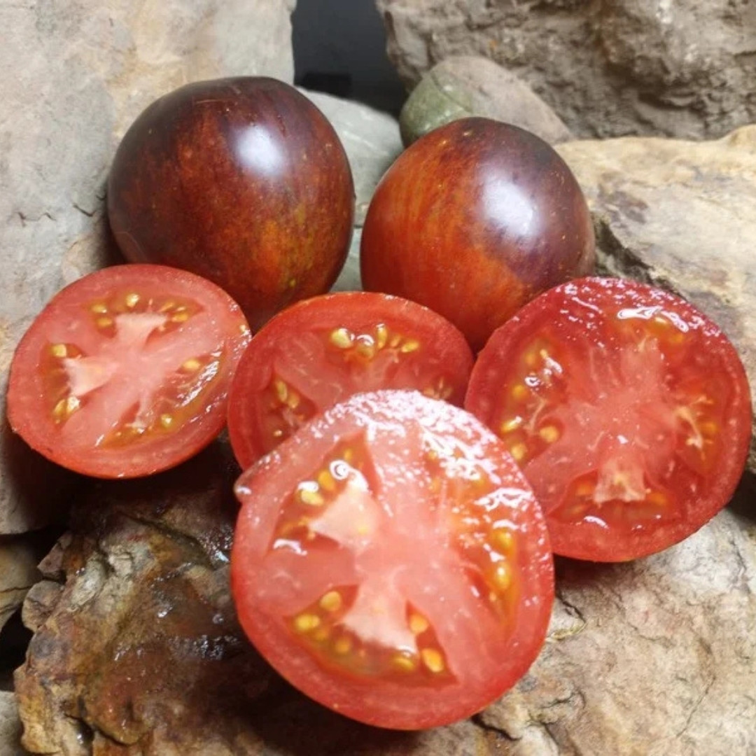 Tomato Seeds Damascus Steel Dwarf - 10