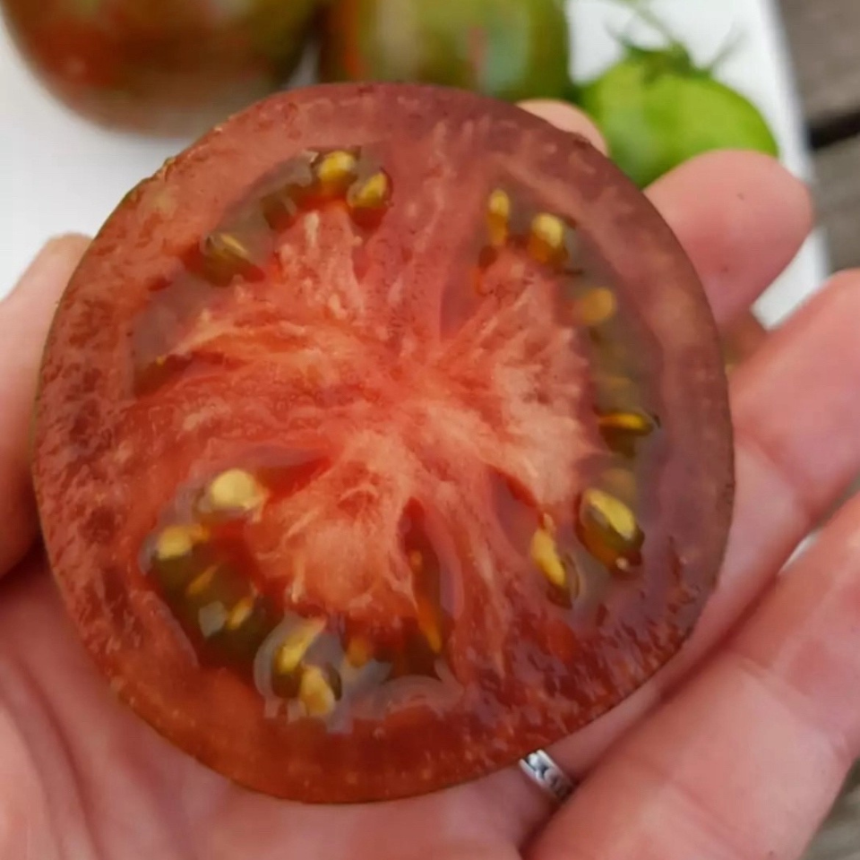 Tomato seeds Cosmic Eclipse - 10