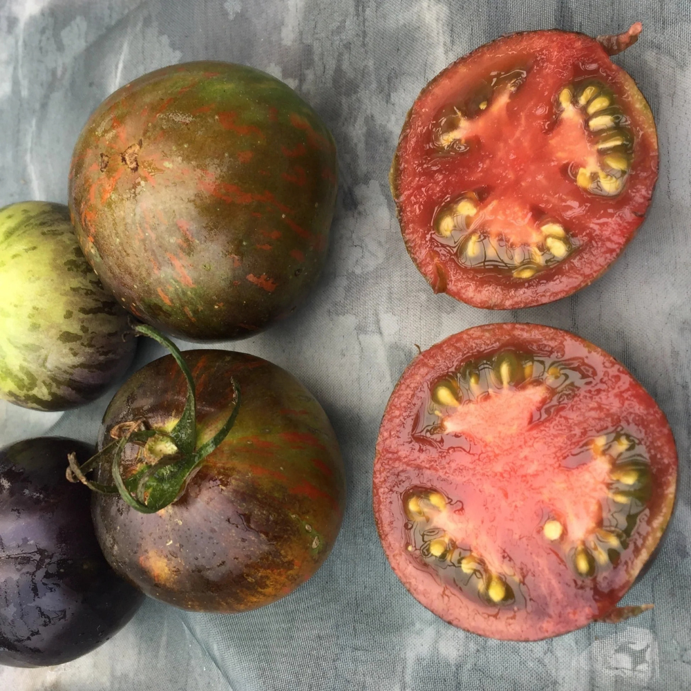 Tomato seeds Cosmic Eclipse - 10