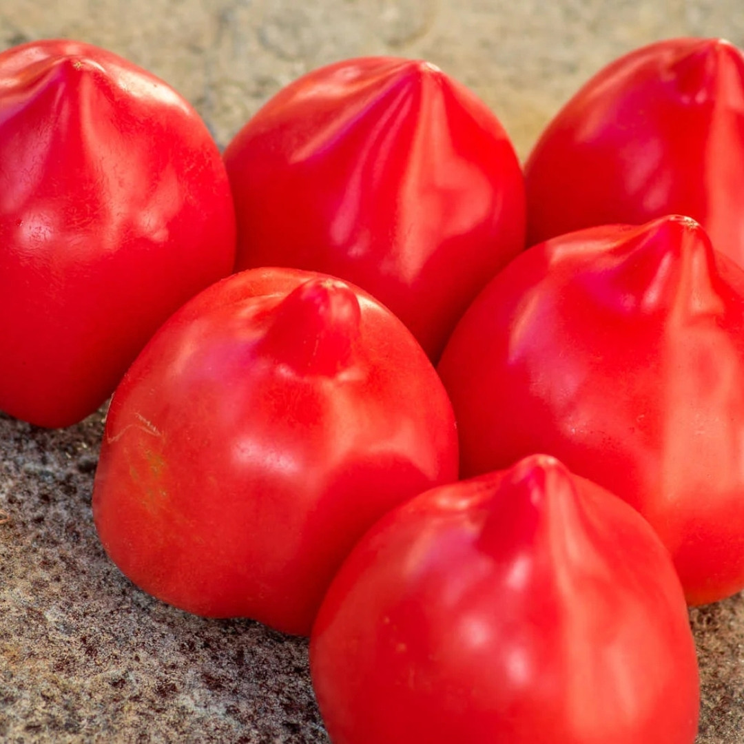 Tomato Seeds Hybrid Tarasenko - 10