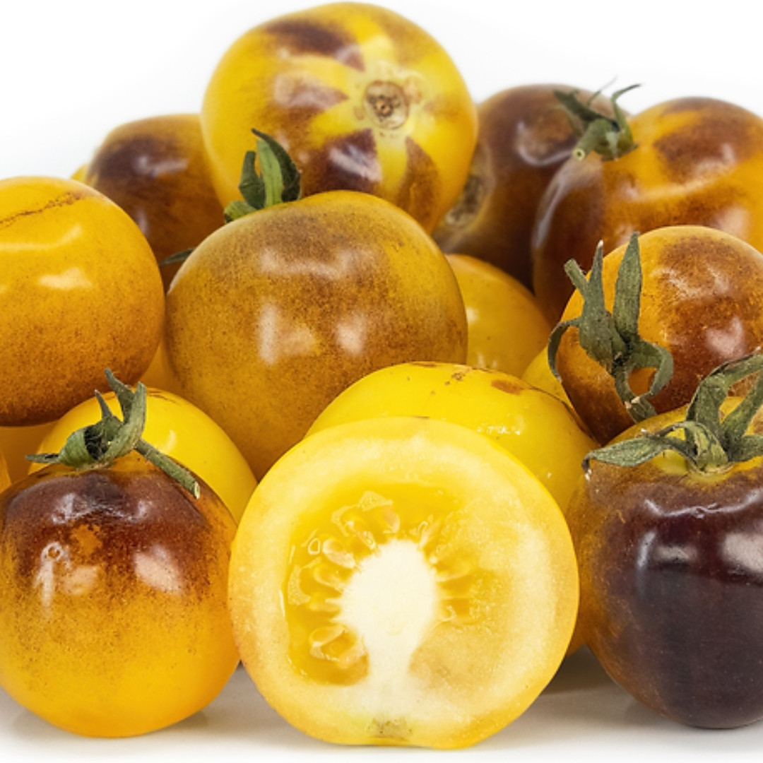 Tomato Seeds Bosque Blue Bumblebee - 10
