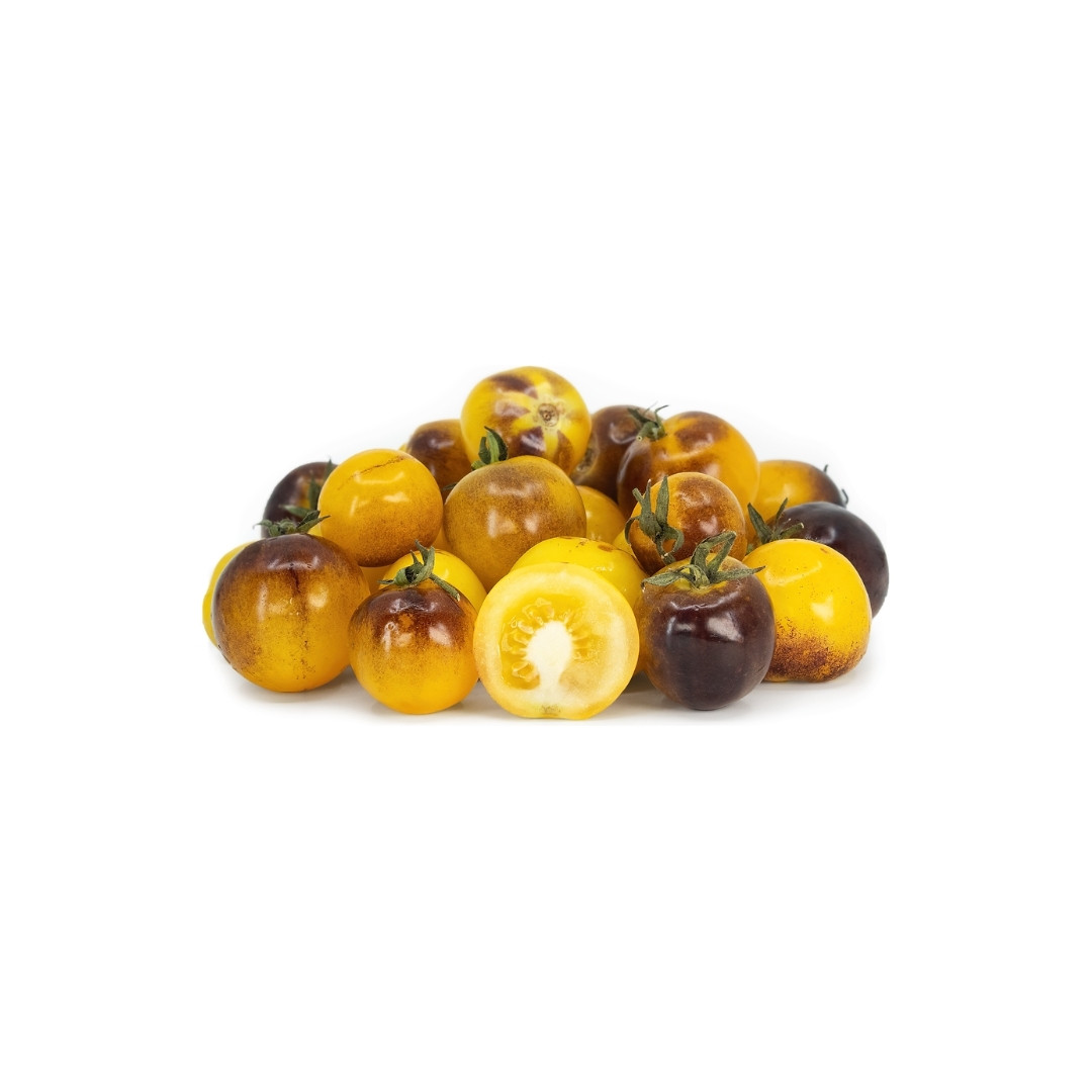 Tomato Seeds Bosque Blue Bumblebee - 10