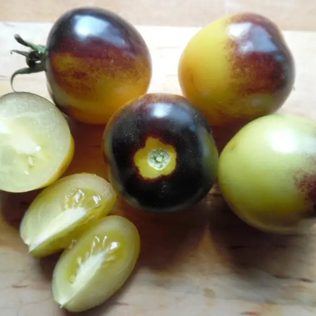 Tomato Seeds Bosque Blue Bumblebee - 10