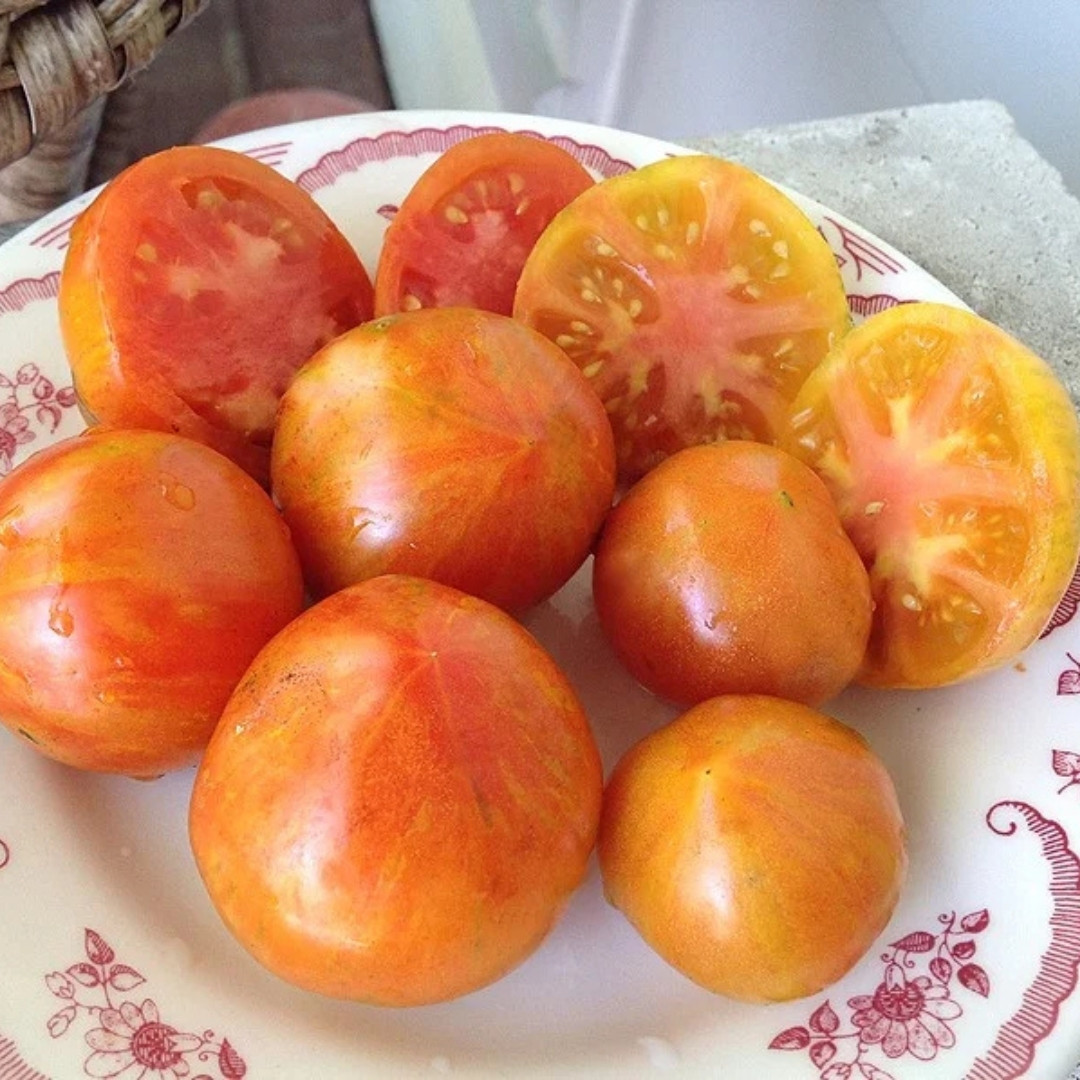 Tomato Seeds Gandalf - 10