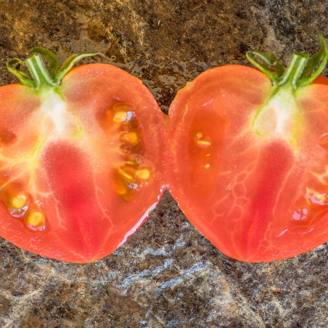 Tomato Seeds Gandalf - 10