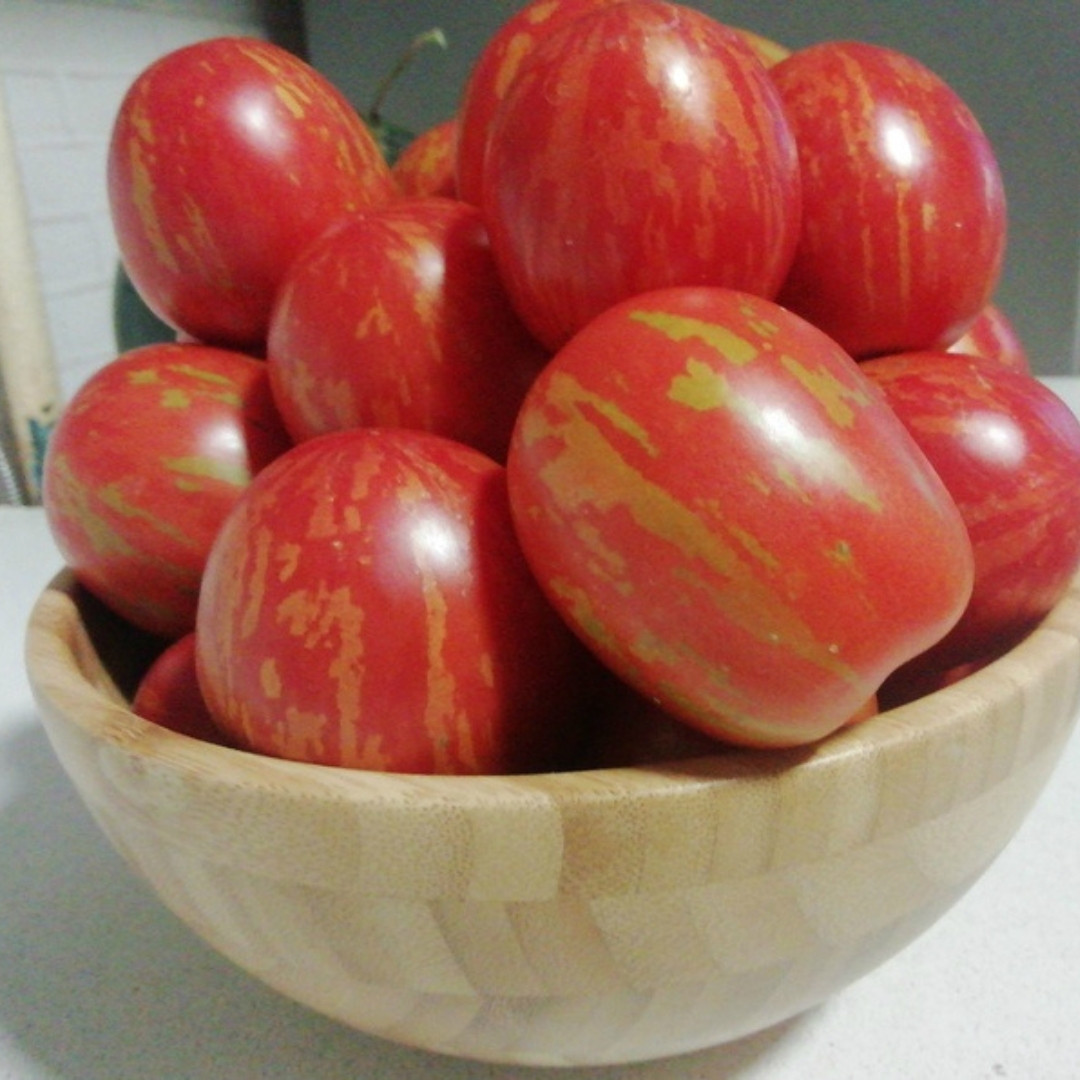 Tomato Seeds Easter Egg - 10