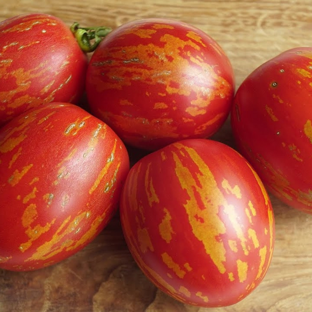 Tomato Seeds Easter Egg - 10