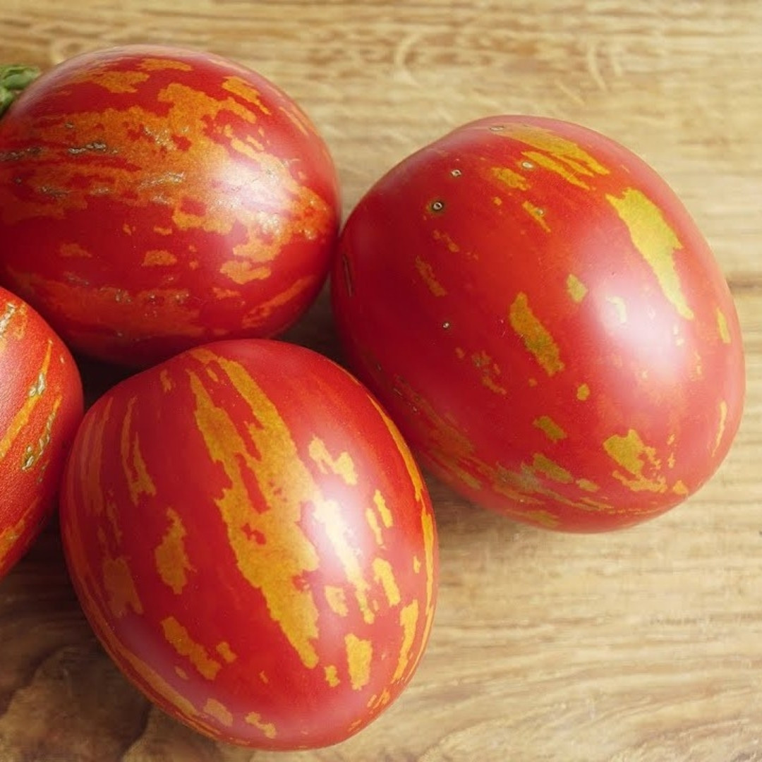 Tomato Seeds Easter Egg - 10