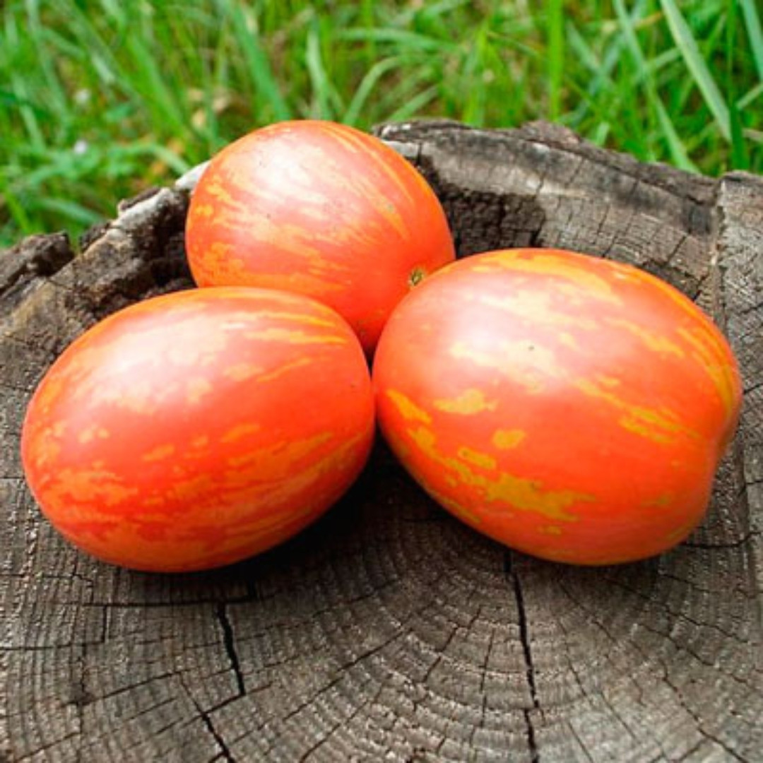 Tomato Seeds Easter Egg - 10