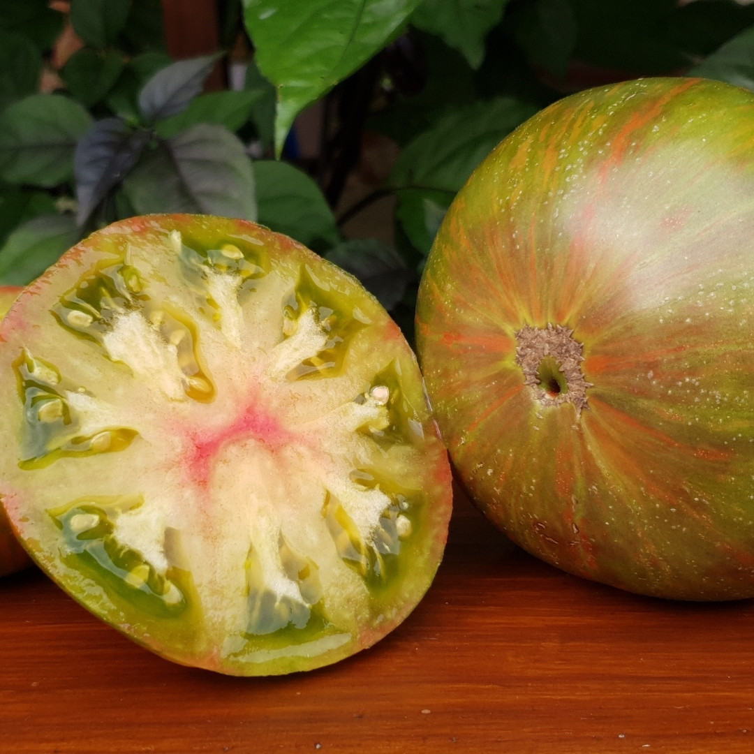 Tomato Seeds Dwarf Peppermint Stripes - 10
