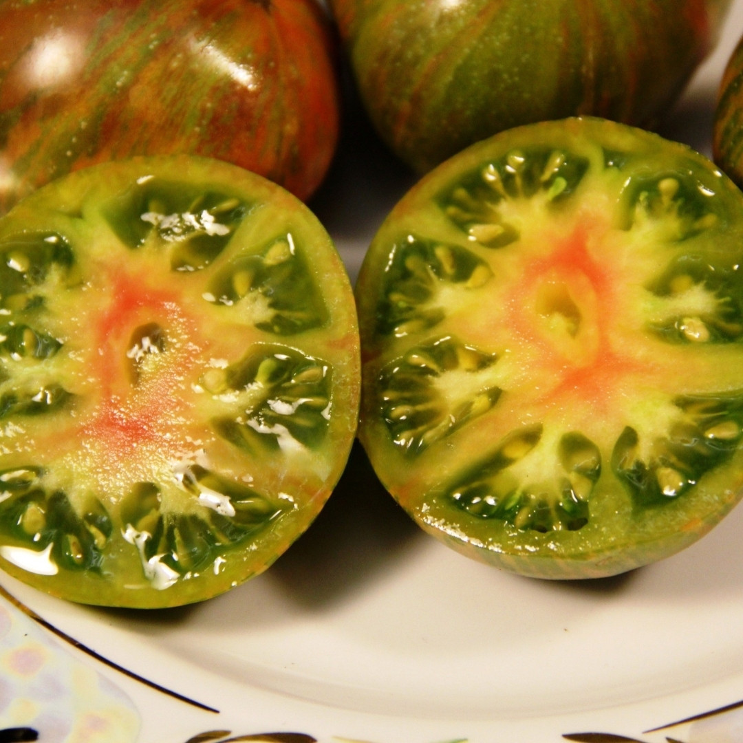 Tomato Seeds Dwarf Peppermint Stripes - 10