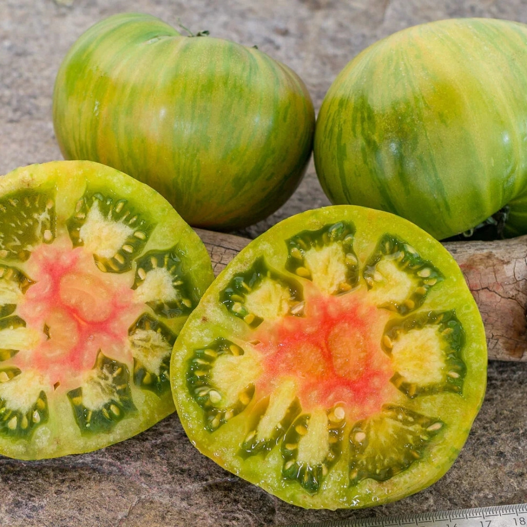 Tomato Seeds Dwarf Peppermint Stripes - 10