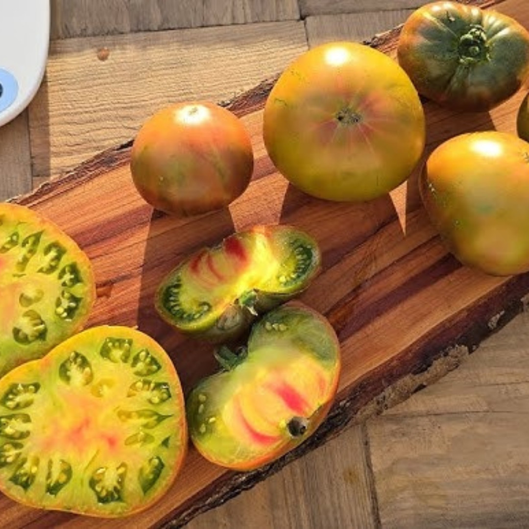 Tomato Seeds Dwarf Peppermint Stripes - 10