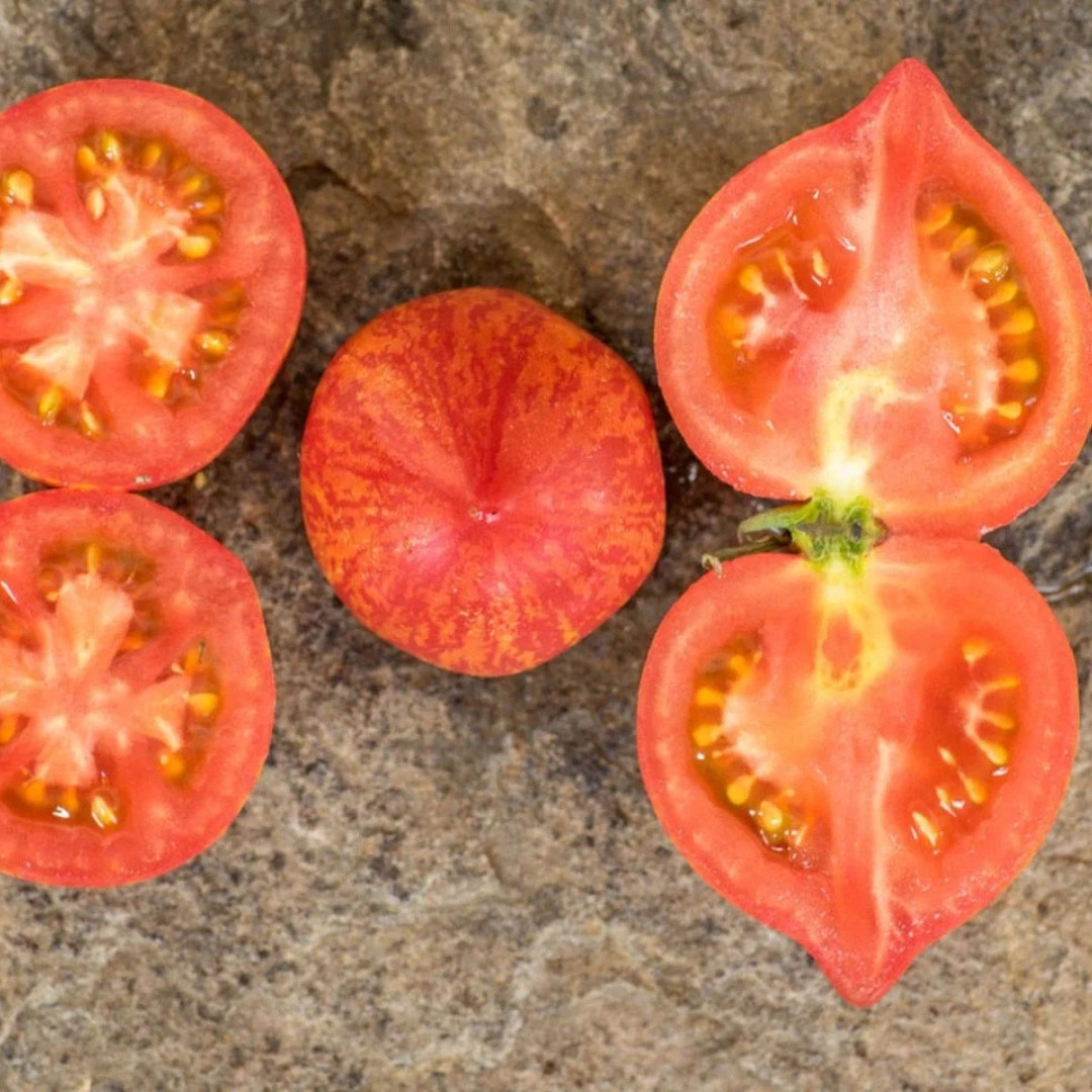 Tomato Seeds Kozula 133 - 10