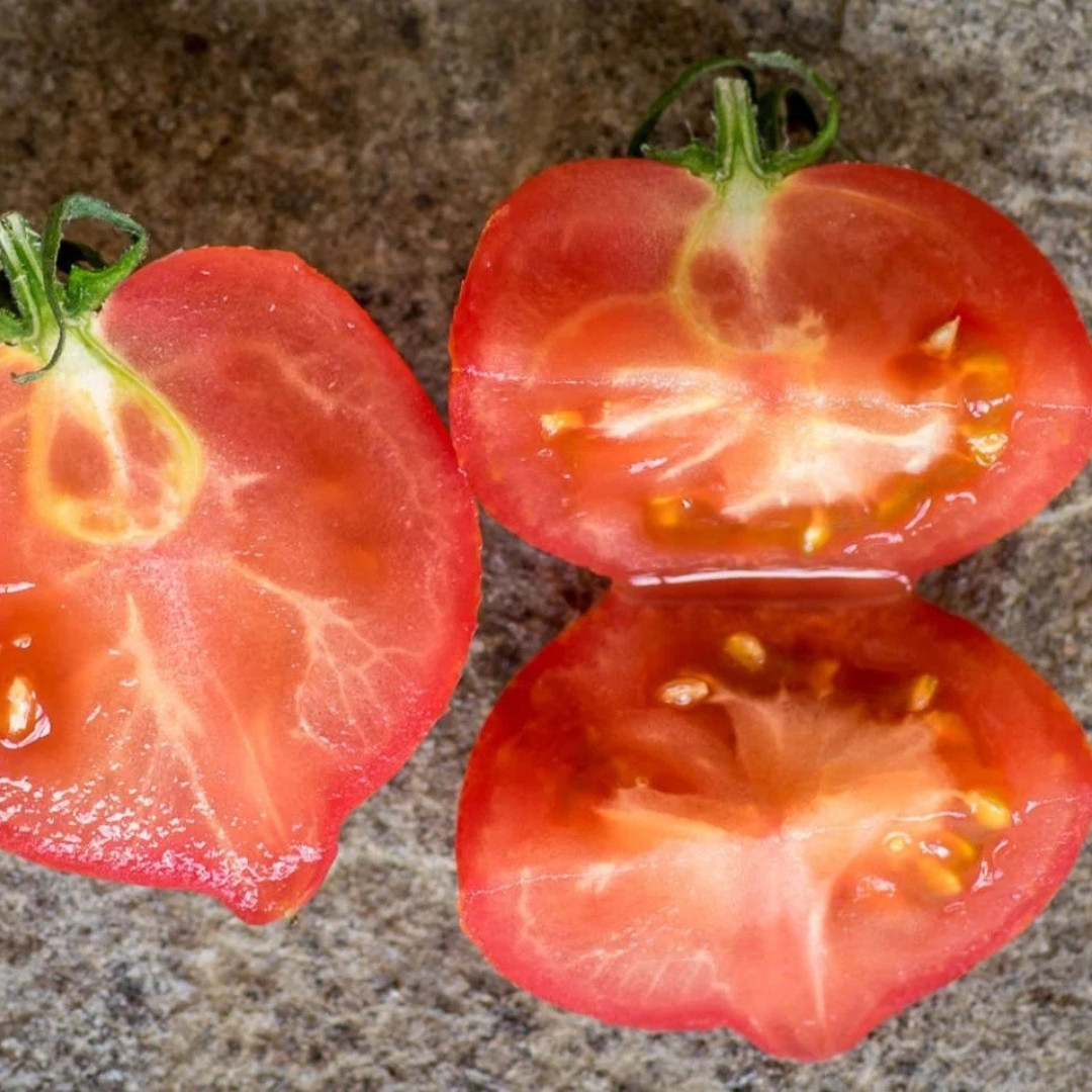 Tomato Seeds Kozula 133 - 10