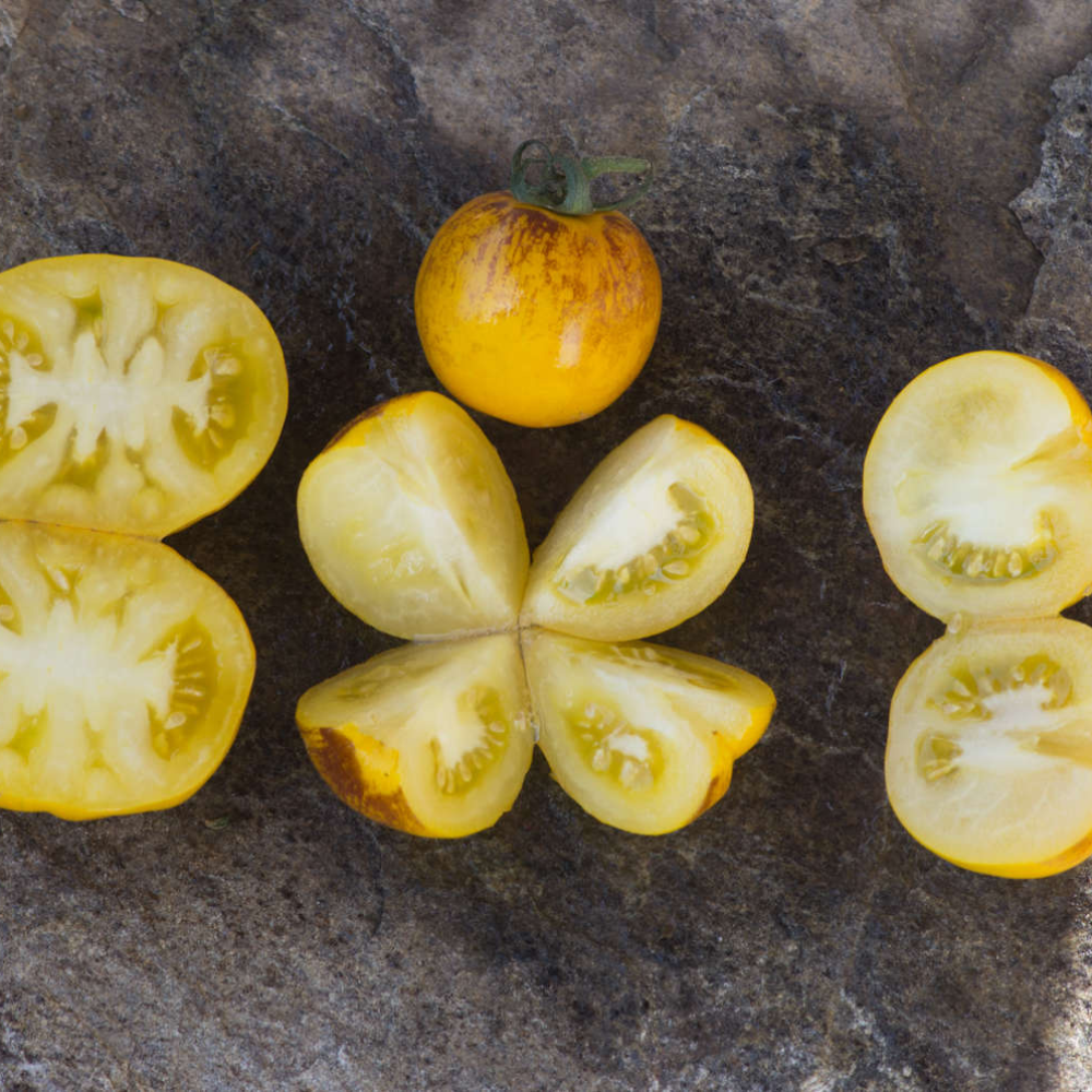 Tomato seeds Primary colors - 10