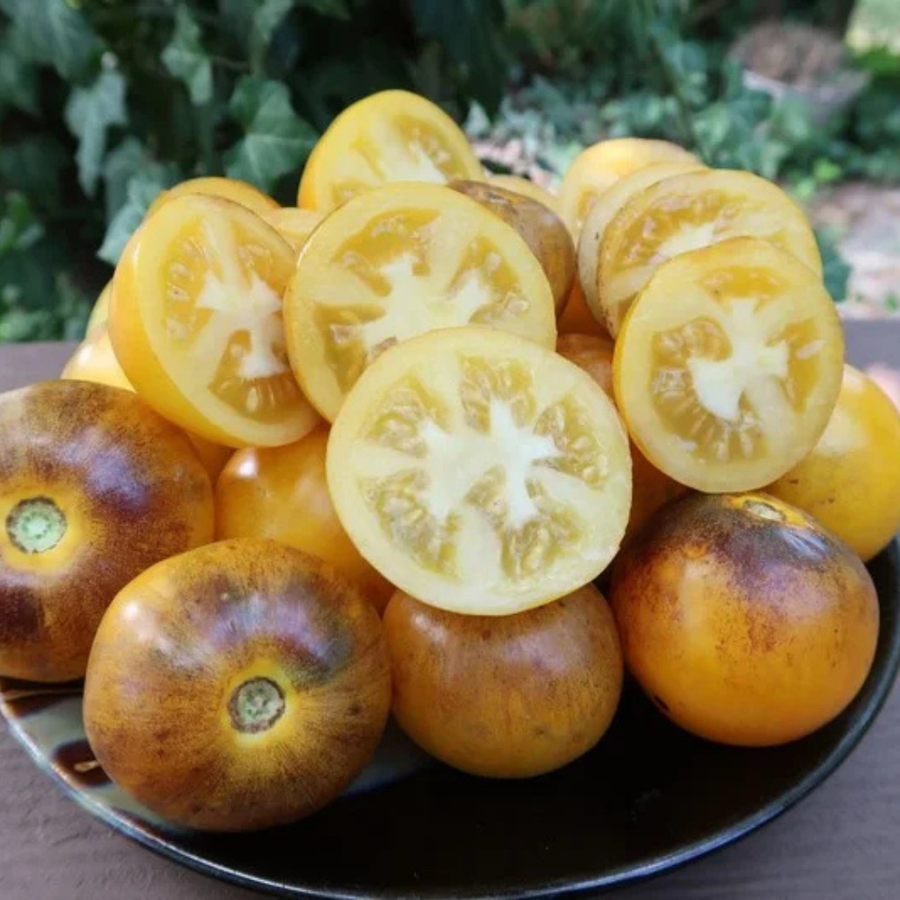 Tomato seeds Primary colors - 10