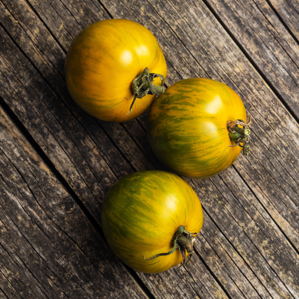 Tomato seeds Primary colors - 10
