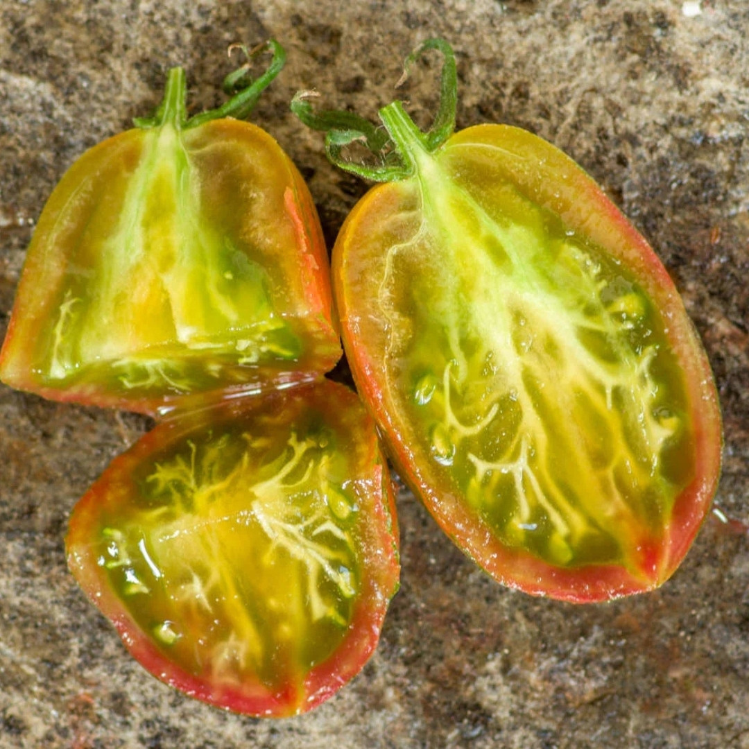 Tomato Seeds Kozula 132 - 10