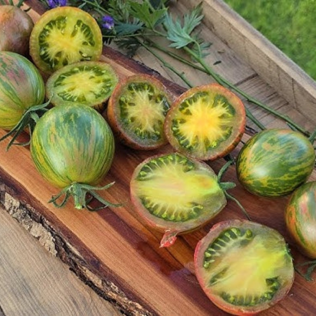 Tomato Seeds Kozula 132 - 10
