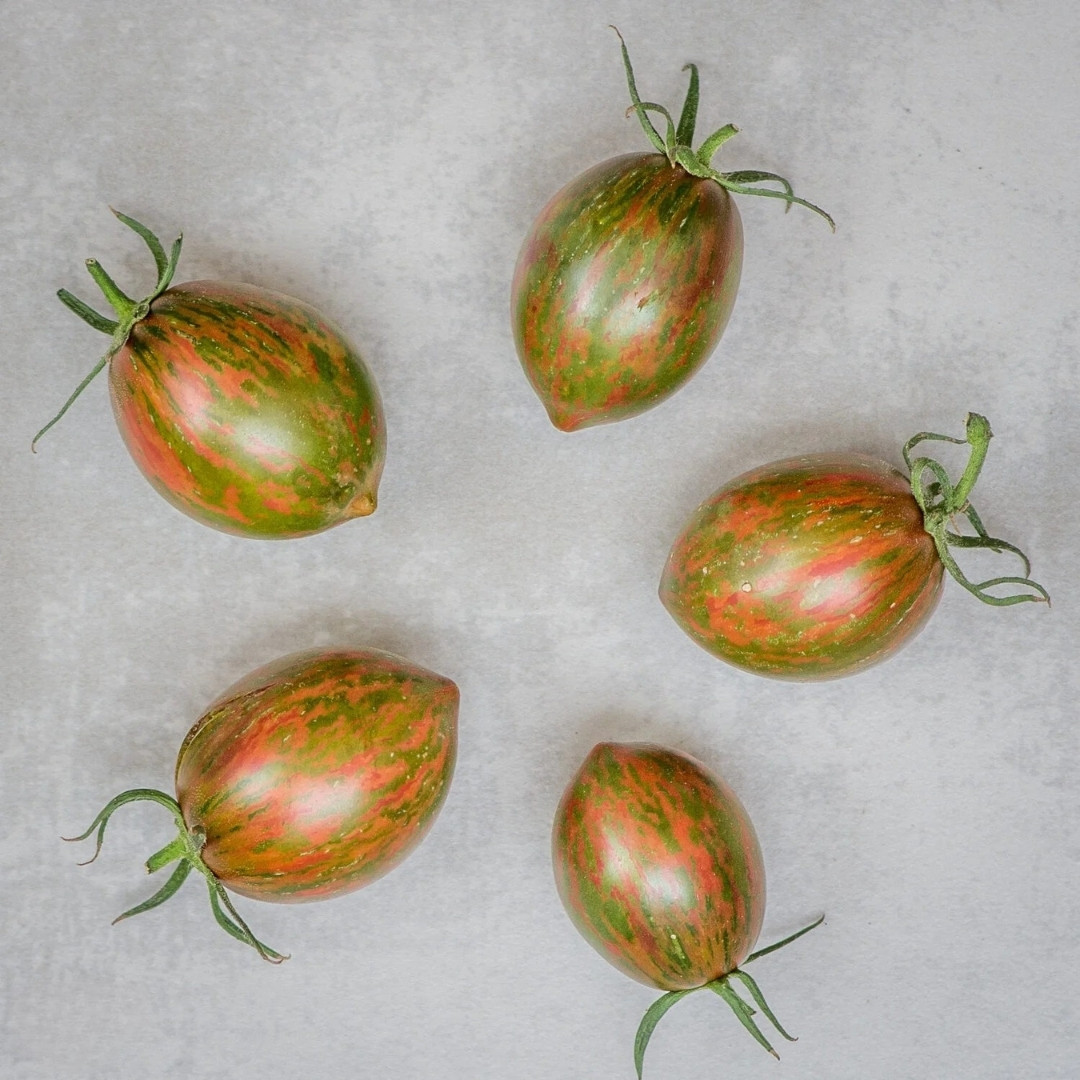Tomato Seeds Kozula 132 - 10