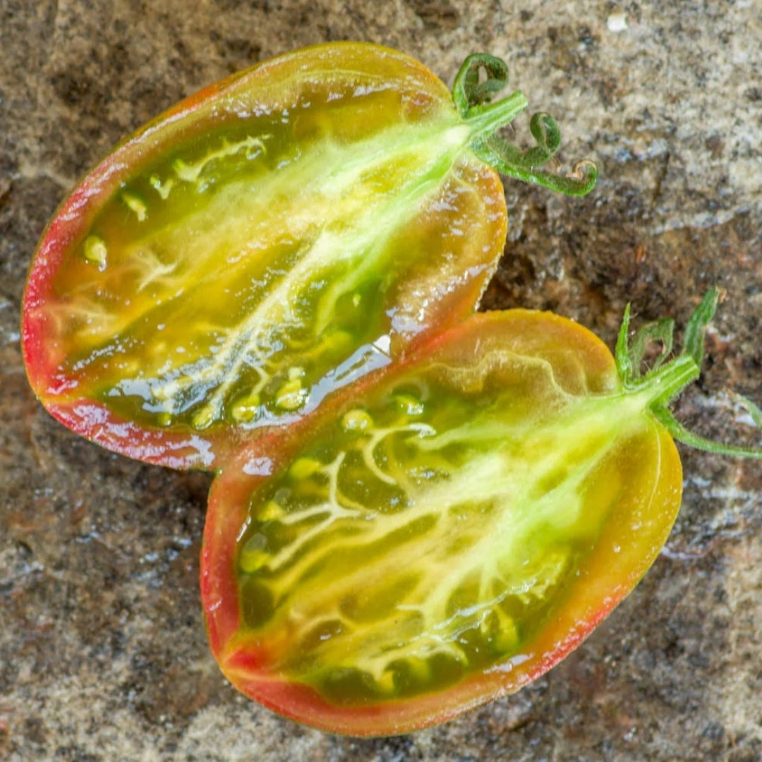 Tomato Seeds Kozula 132 - 10