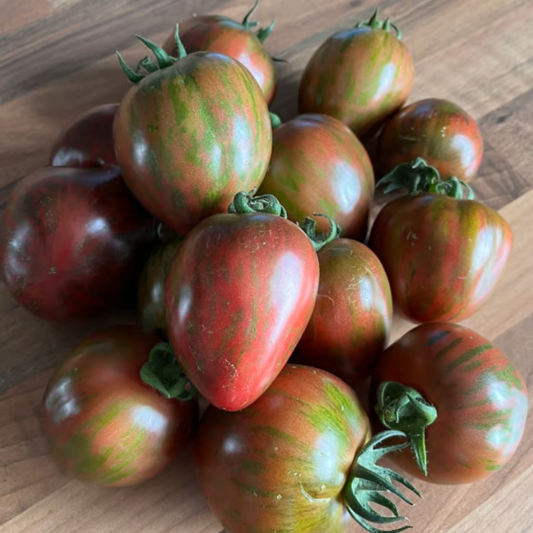 Tomato Seeds Sailor’s Luck - 10