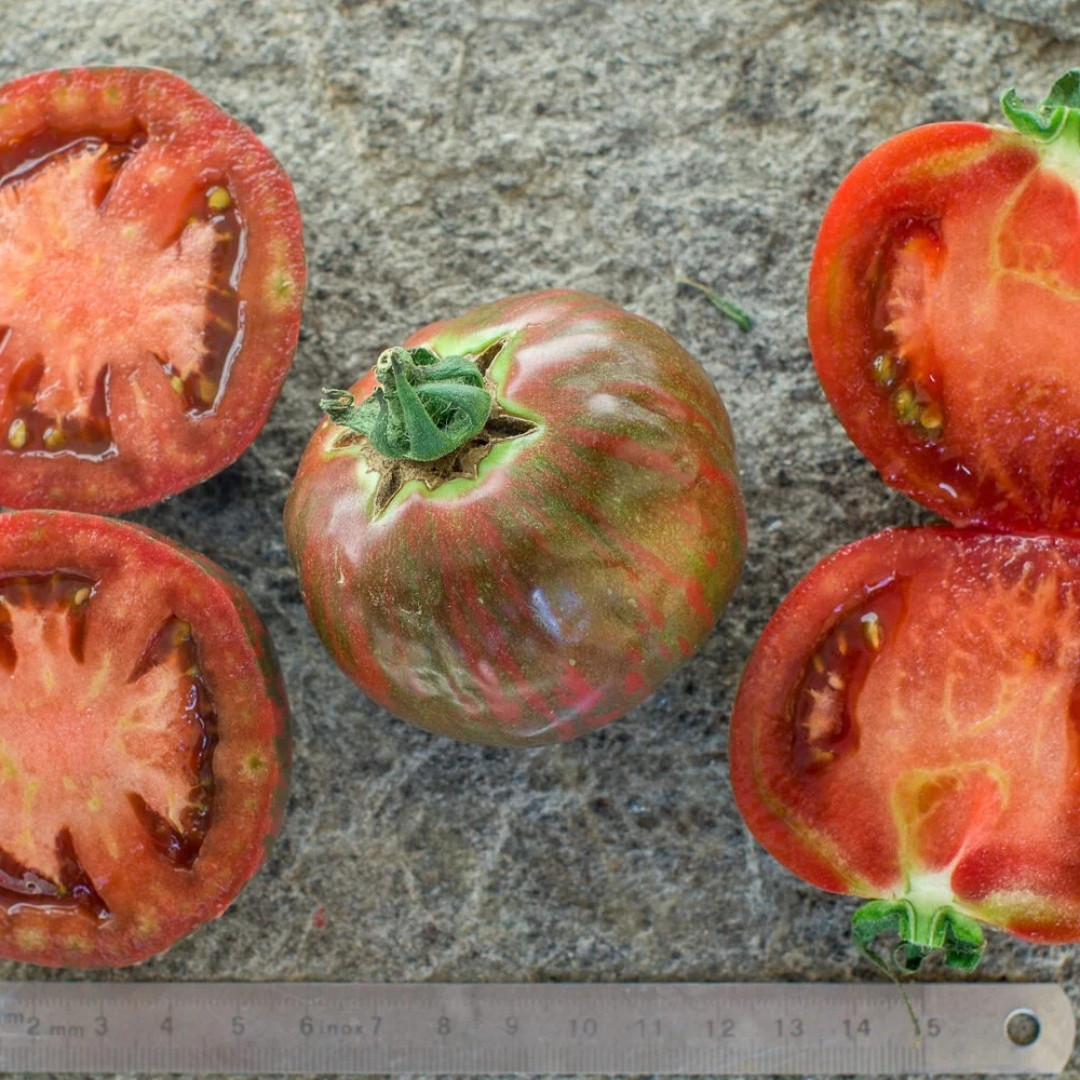 Tomato Seeds Sailor’s Luck - 10