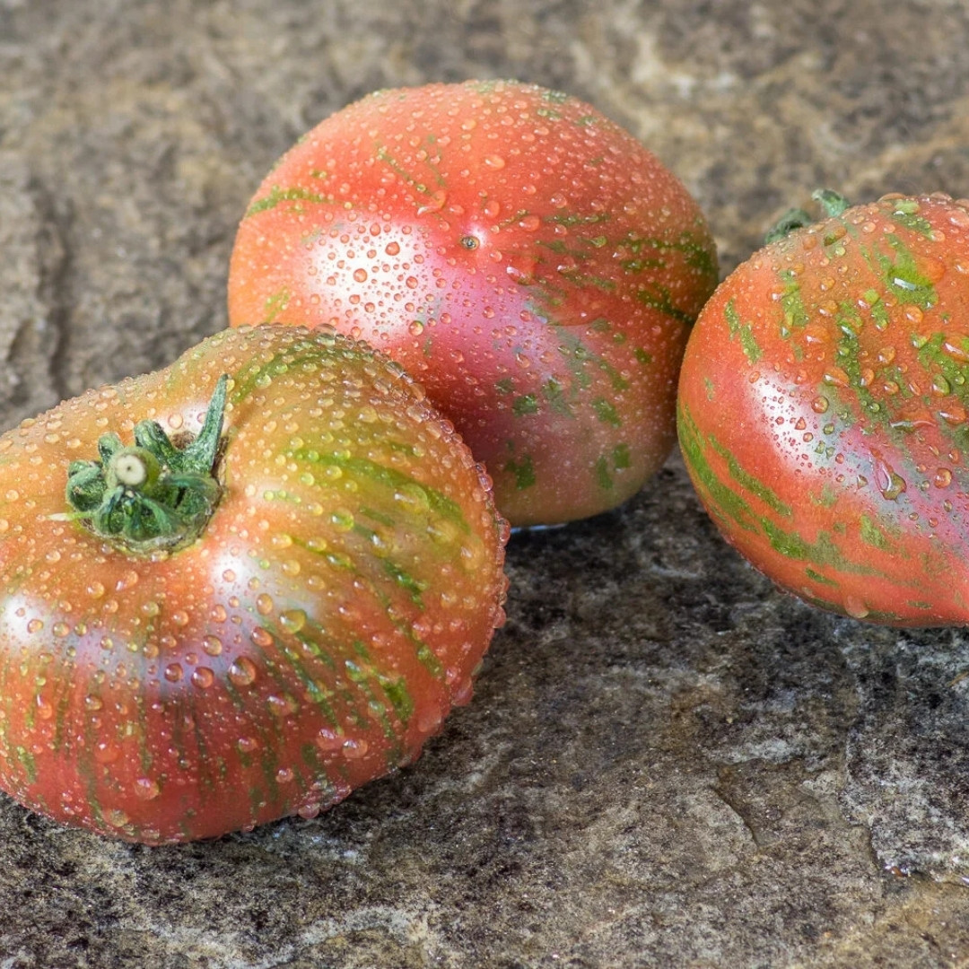Tomato Seeds Sailor’s Luck - 10