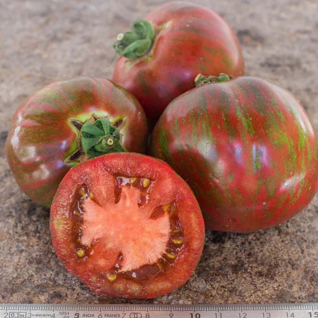 Tomato Seeds Sailor’s Luck - 10