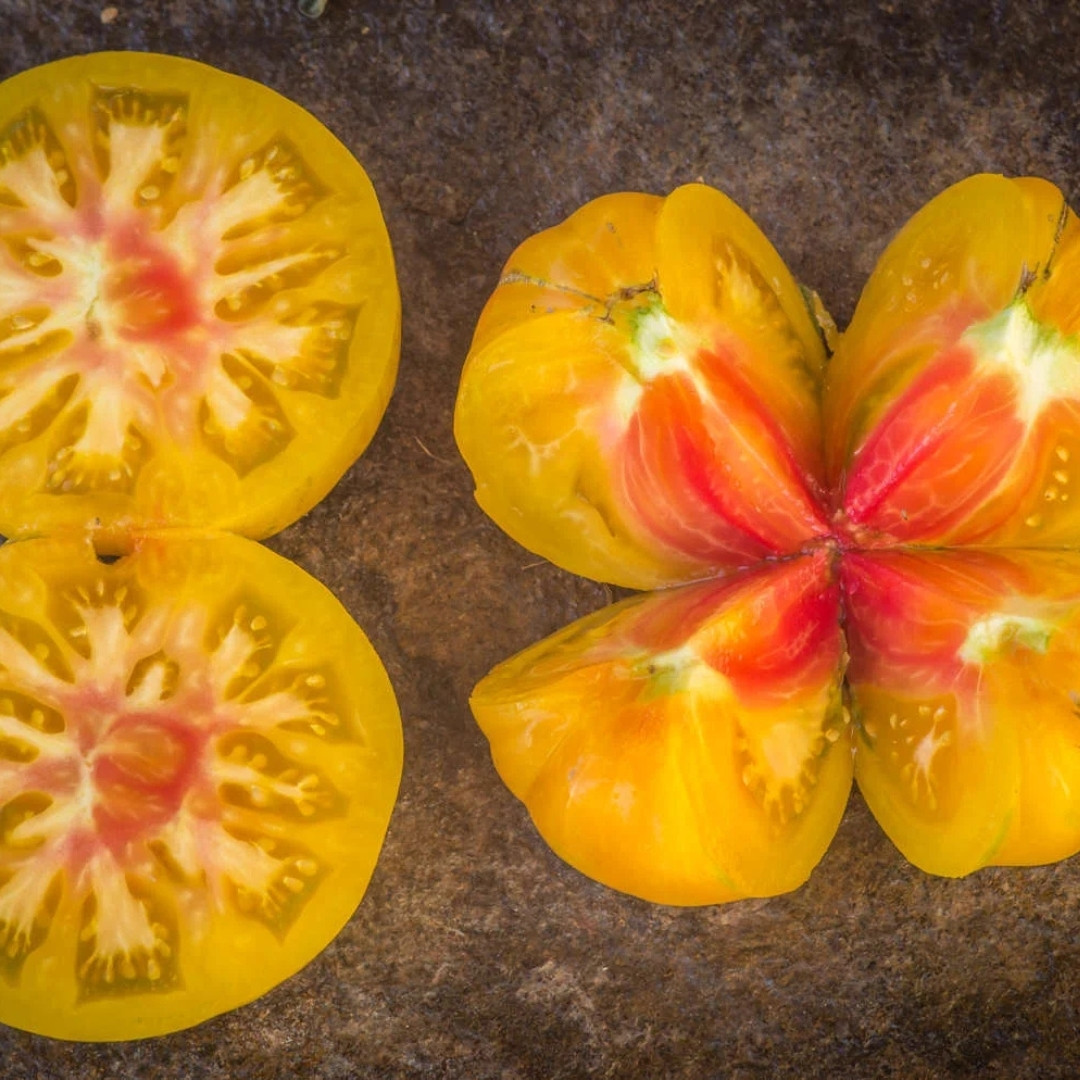 Tomato Seeds Kozula 136 (Yellow Zebra) - 10
