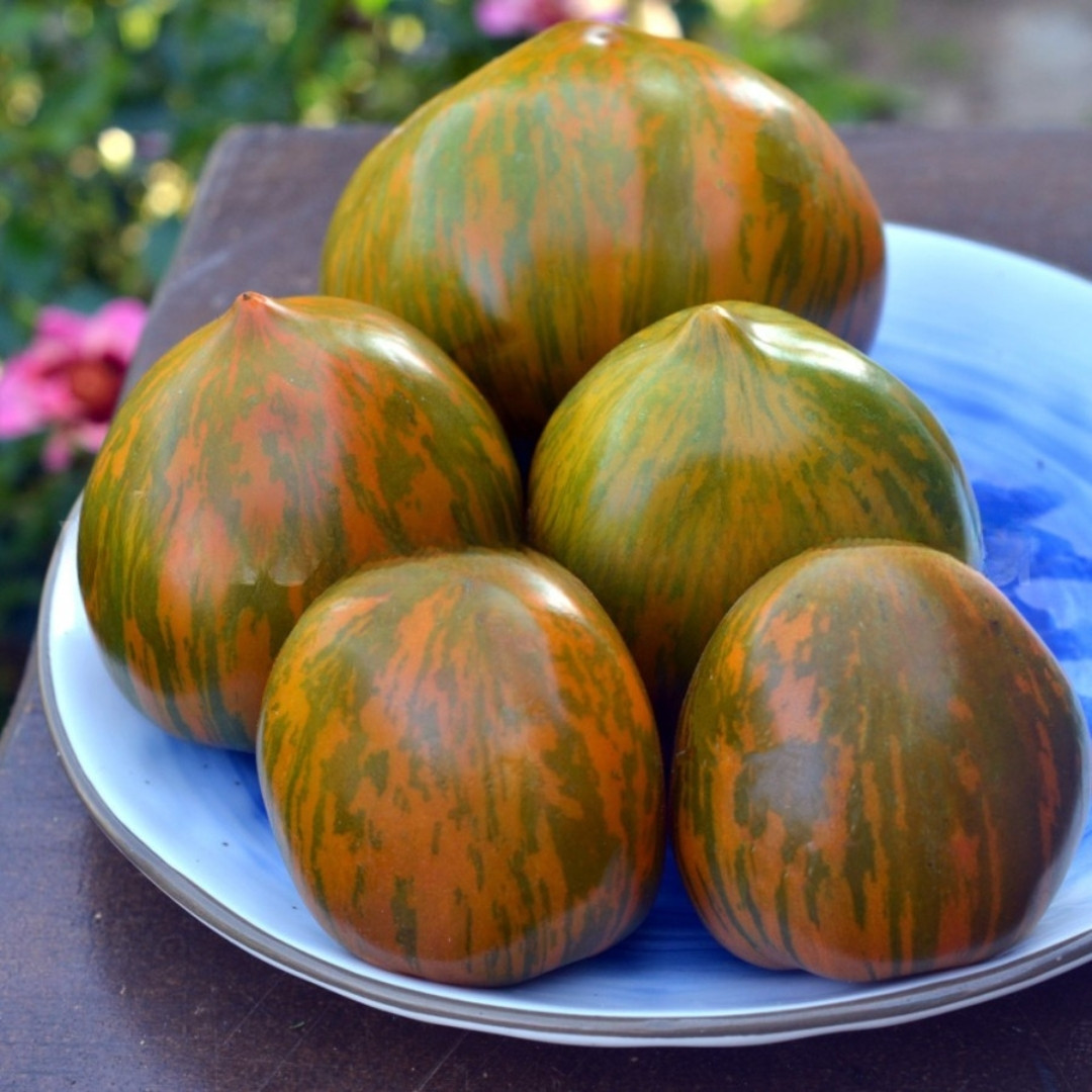 Tomato Seeds Kozula 148/1 - 10