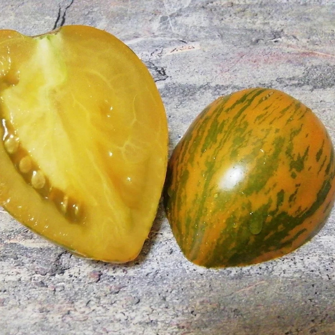 Tomato Seeds Kozula 148/1 - 10