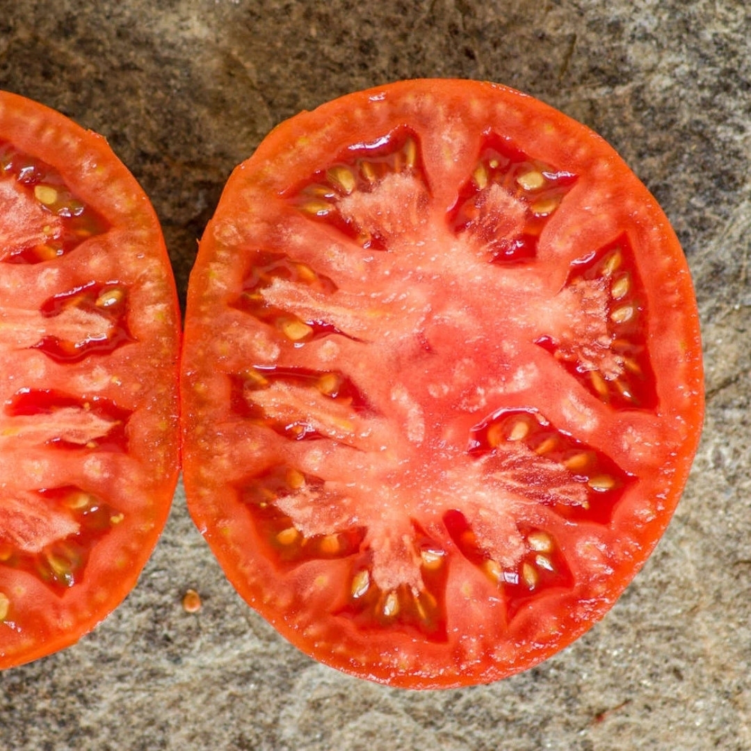 Tomato Seeds Kozula 174 - 10
